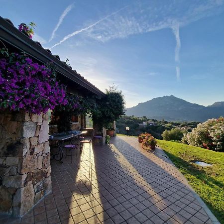 Villa Stazzu Sa Murta 库尼亚纳 外观 照片