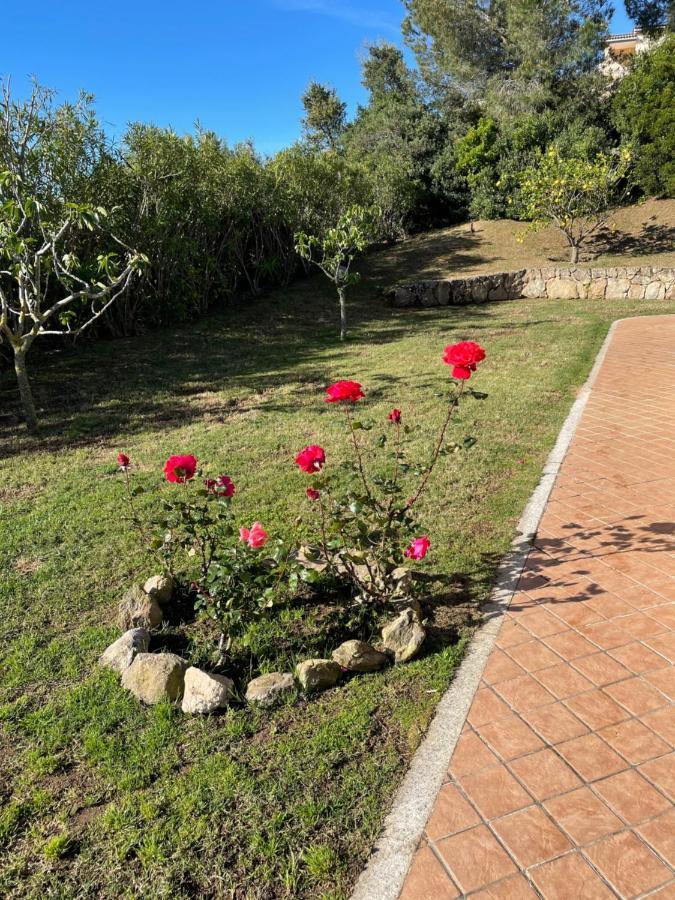 Villa Stazzu Sa Murta 库尼亚纳 外观 照片